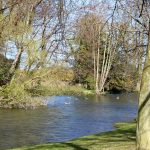 Archerfield Lake