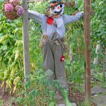 The Stirling Family WINNERS - "Best Harvest Scarecrow"
