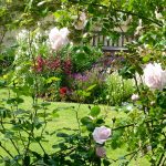 Peace in the garden - summer heat