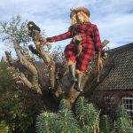 Tree Scarecrow