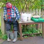 RUNNER-UP - Best Traditional or Harvest Scarecrow
Diana Murray