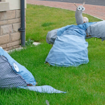 RUNNER-UP - Best TV/Film/Book Scarecrow
Millie & Flyn Jones